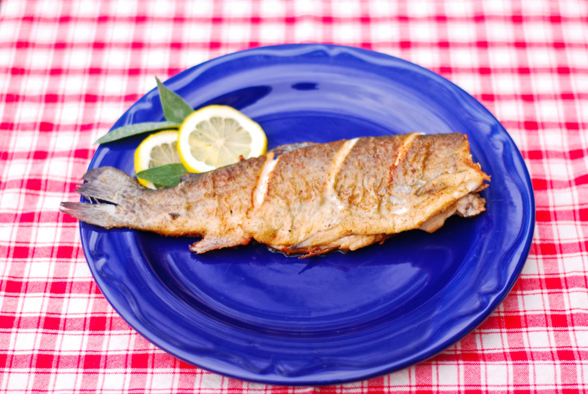 Pan Fried Trout: Camping Recipes - Primary 1200x803